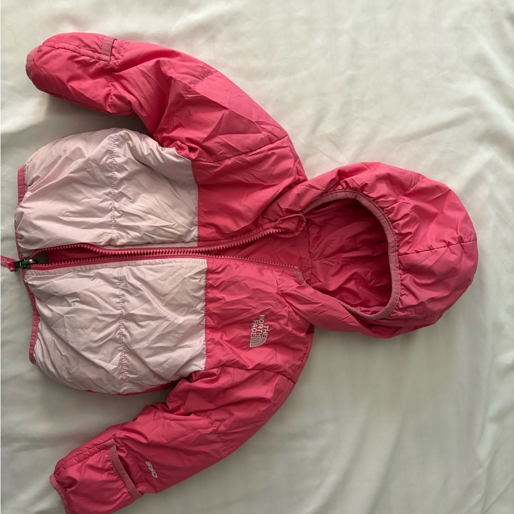 The North Face Two-Tone Pink Puffer Jacket
